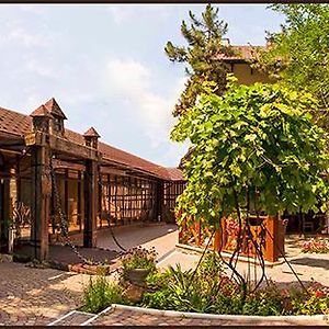 Hotel Bachus